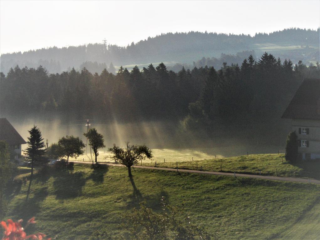 Vila Bio-Bauernhof Heidegger Möggers Exteriér fotografie