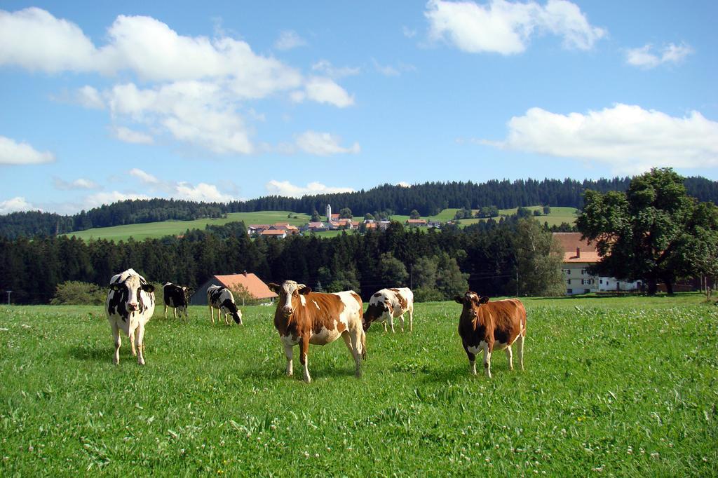 Vila Bio-Bauernhof Heidegger Möggers Exteriér fotografie
