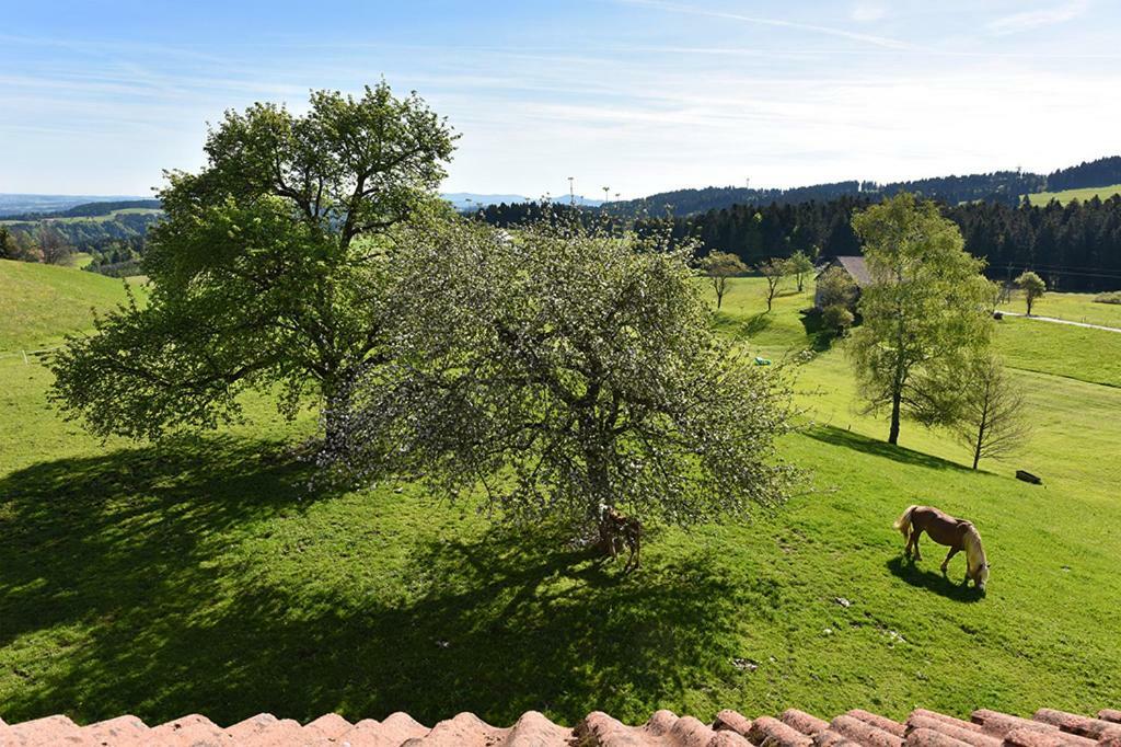 Vila Bio-Bauernhof Heidegger Möggers Exteriér fotografie